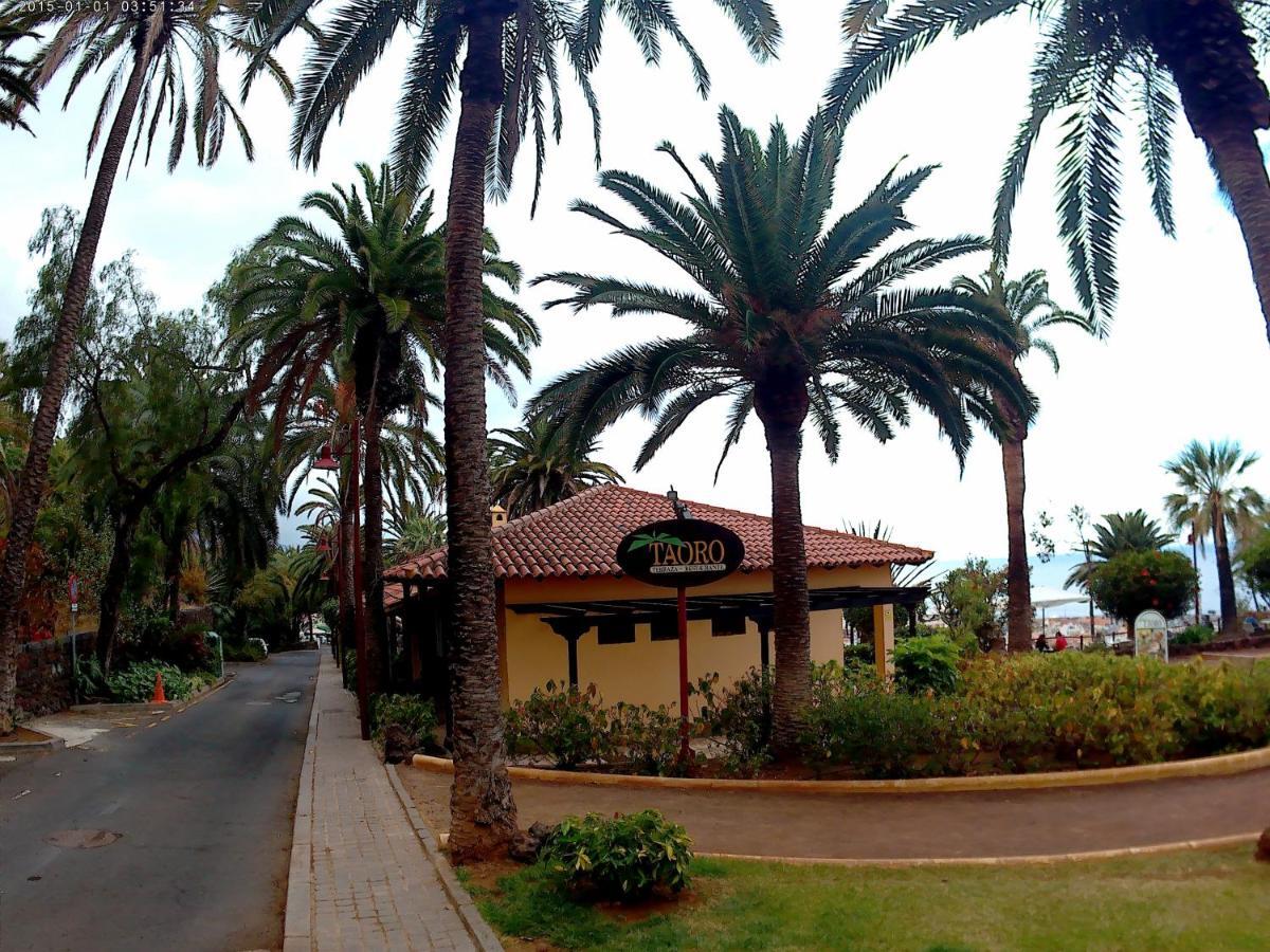 Estudio Brillante, Confortable Y Agradable Puerto de la Cruz (Tenerife) Exterior foto