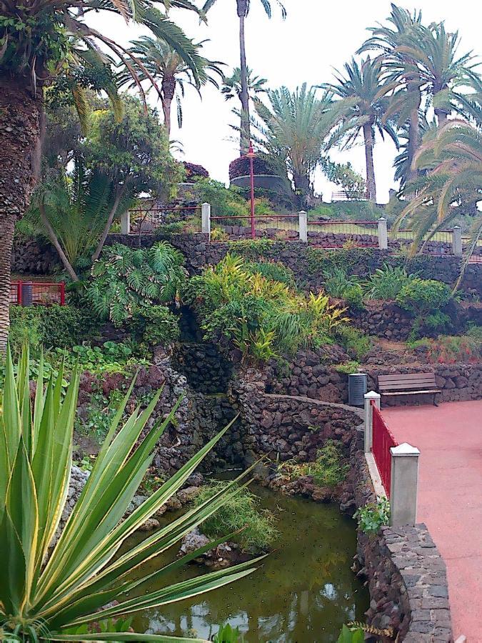 Estudio Brillante, Confortable Y Agradable Puerto de la Cruz (Tenerife) Exterior foto