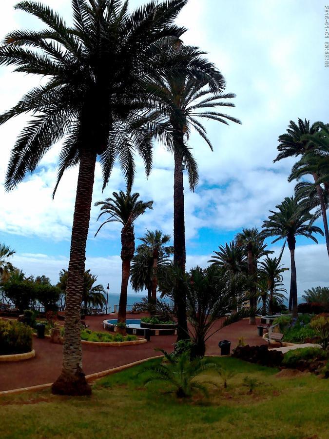 Estudio Brillante, Confortable Y Agradable Puerto de la Cruz (Tenerife) Exterior foto